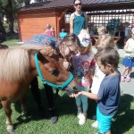 phoca_thumb_m_ponk 123 Fotogalerie